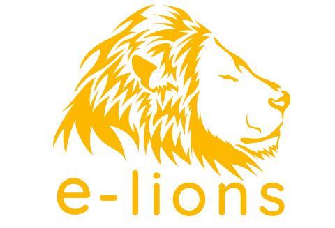 e-lions - agencja marketingowa